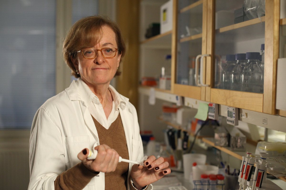 EVBO (@evb_org) on Twitter photo Get to know us today in the EVBO tweet-take over! I’m Lena Claesson-Welsh @ClaessonWelsh, the current EVBO President, but also the PI of the world’s best vascular biology research group (or at least we’re trying to be) <a href="/VascBioUpp/">Uppsala Vascular Biology</a> <a href="/uppsalauni/">Uppsala universitet</a>. Meet my colleagues below. Get to know us today in the EVBO tweet-take over! I’m Lena Claesson-Welsh @ClaessonWelsh, the current EVBO President, but also the PI of the world’s best vascular biology research group (or at least we’re trying to be) <a href="/VascBioUpp/">Uppsala Vascular Biology</a> <a href="/uppsalauni/">Uppsala universitet</a>. Meet my colleagues below.