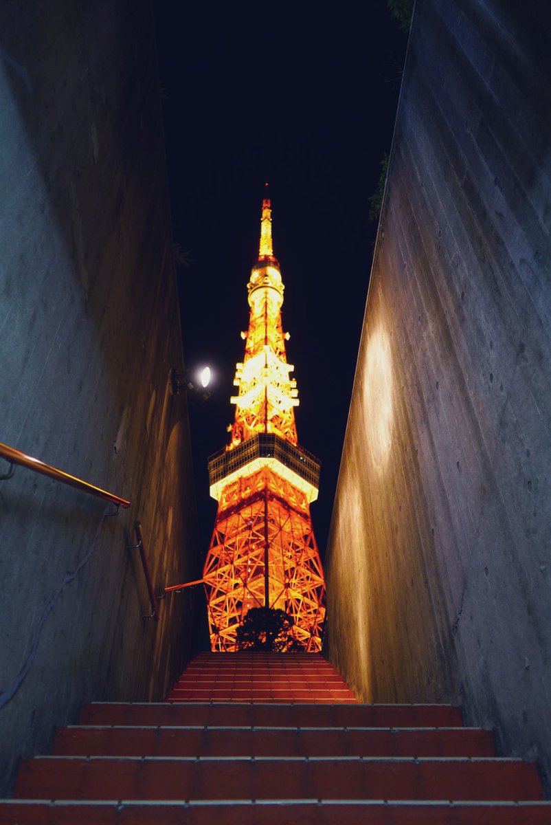 「いろんな角度から見てみよう」 〜東京タワー編12〜 コンクリートに挟まれた東京タワー🗼