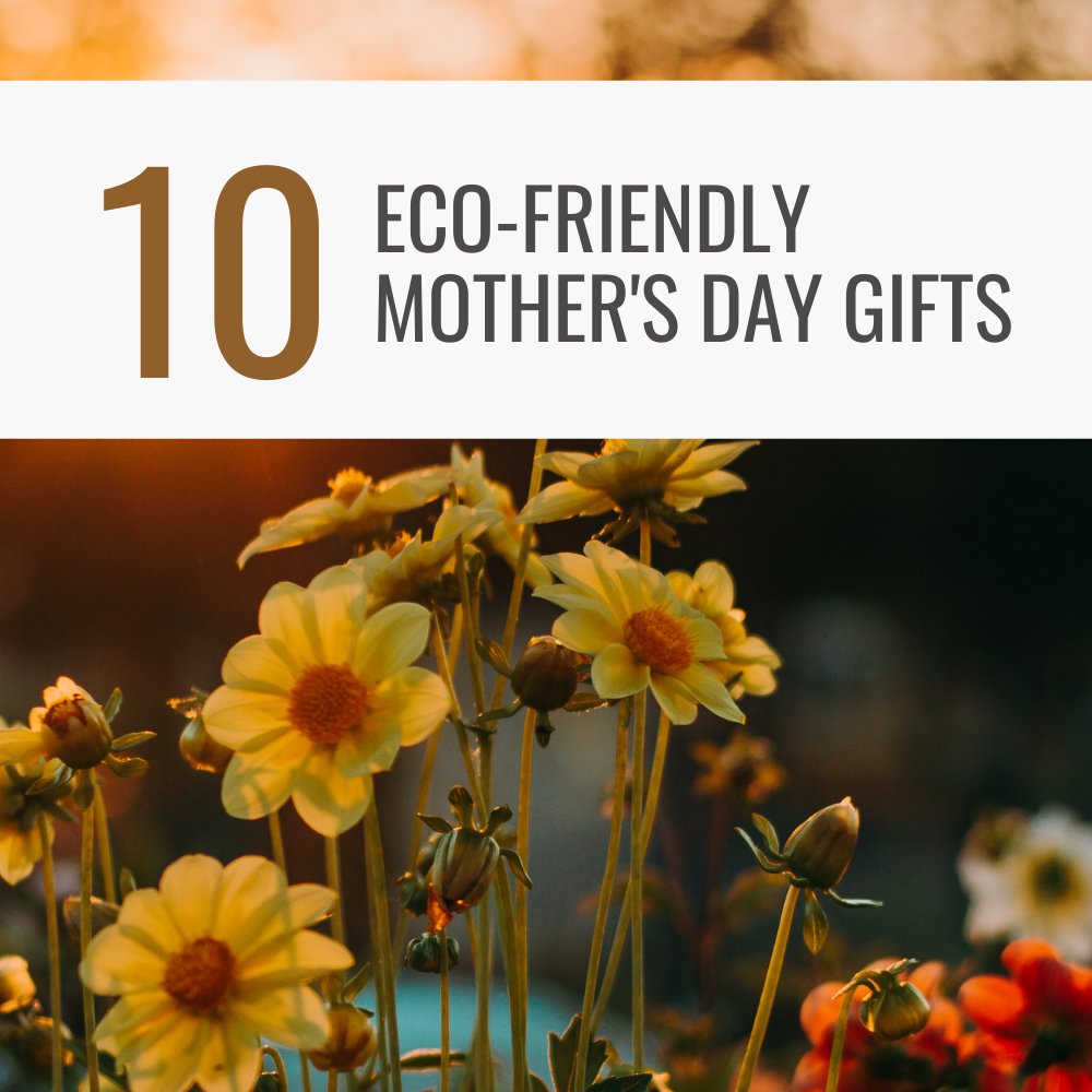 10 #EcoFriendly Mother's Day Gifts 👇 forevermylittlemoon.com/2022/04/EcoFri… 🌏 #MothersDay2022 #mothersdaygiftideas @bloglove2018 #bloglove2018 @BloggersTribe #BloggersTribe @theclique_uk #TheClqRT @LovingBlogs @USBloggerRT