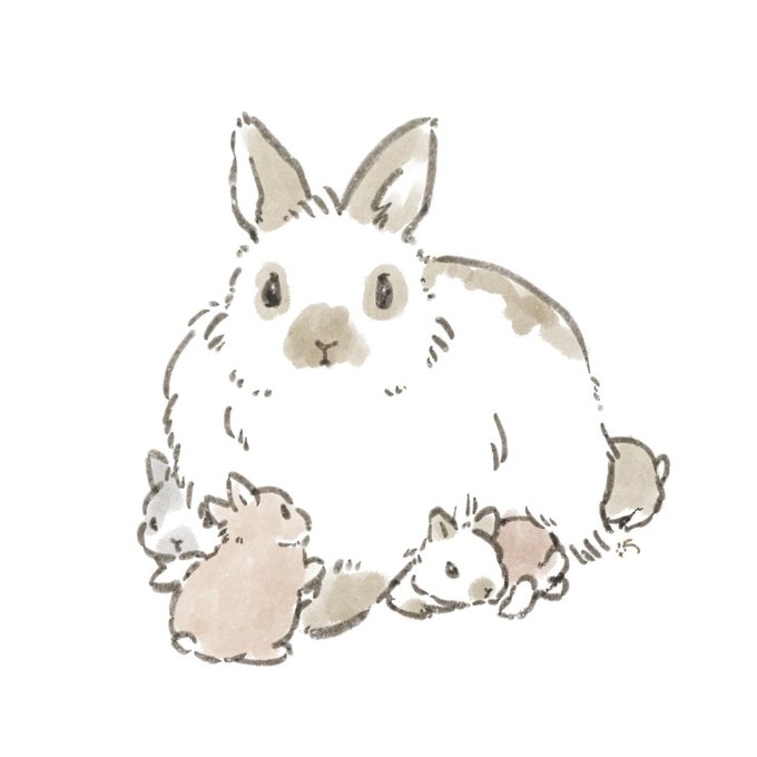 どうつめてもあと2匹までです! 