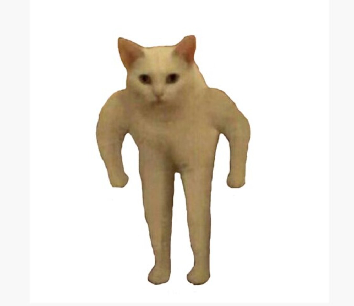 Кот Мем без фона