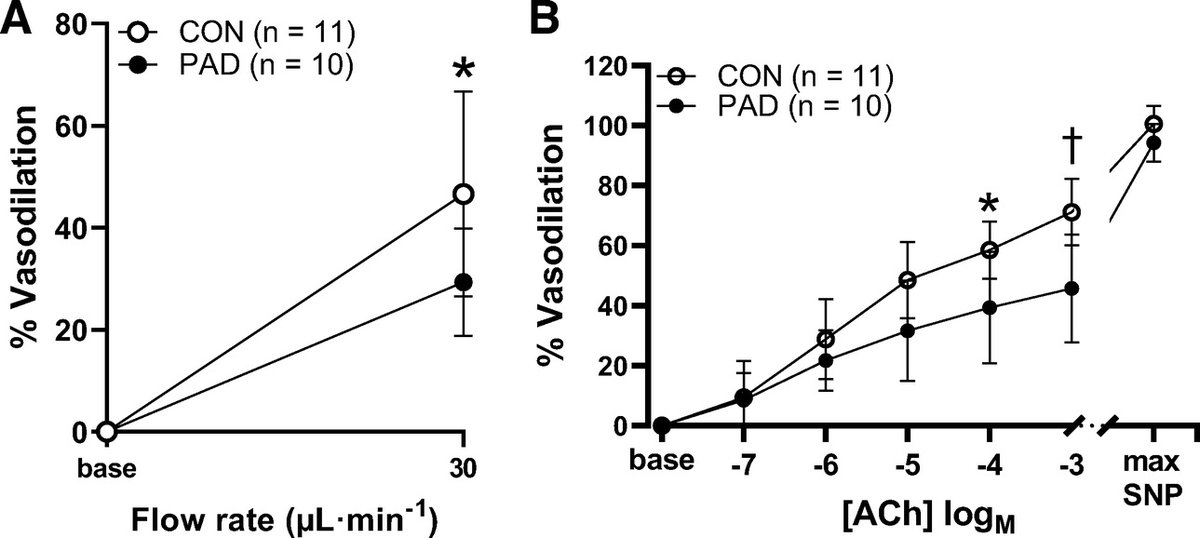 ajpheartcirc's tweet photo. In #PeripheralArteryDisease patients, chronic #ischemia attenuates skeletal muscle arteriole endothelial function, which may be a 🗝️mediator for mitochondrial and #microcirculatory dysfunction in PAD leg skeletal muscle https://t.co/PKMfQWWgzQ
@UNOCEHHS @unmc https://t.co/1LtUoKB7N4