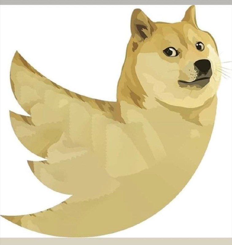 AudreyNesbitt11's tweet photo. Do we like the new Twitter logo? #Doge #Elon #futureoftwitter #dogecoin https://t.co/54mxOUeZL7