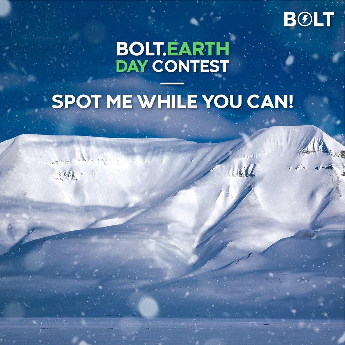bolt_earth's tweet photo. My skin is black, fur transparent, tongue blue but you think I am white. I have 42 teeth, 3 eyelids, and 4 inches of fat. Climate change and oil industry explorations are the biggest threats to my existence. Spot me while you can!

#ContestAlert #saveplanet #earthdayweek #BOLT https://t.co/I9WSbXA7wF