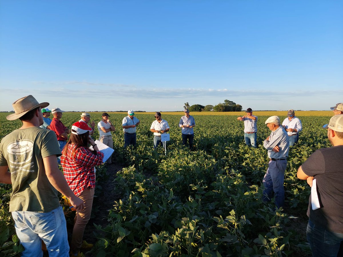 BASF_Agro_ARG's tweet photo. Nos reunimos con Cooperativa de Avellaneda, para recorrer ensayos de soja #BASFCredenz y fungicidas, y capacitarnos en el control de roedores, junto a @Mrhoyos59. ¡Muchas gracias por participar! 👏 https://t.co/wE3t4SXmjZ