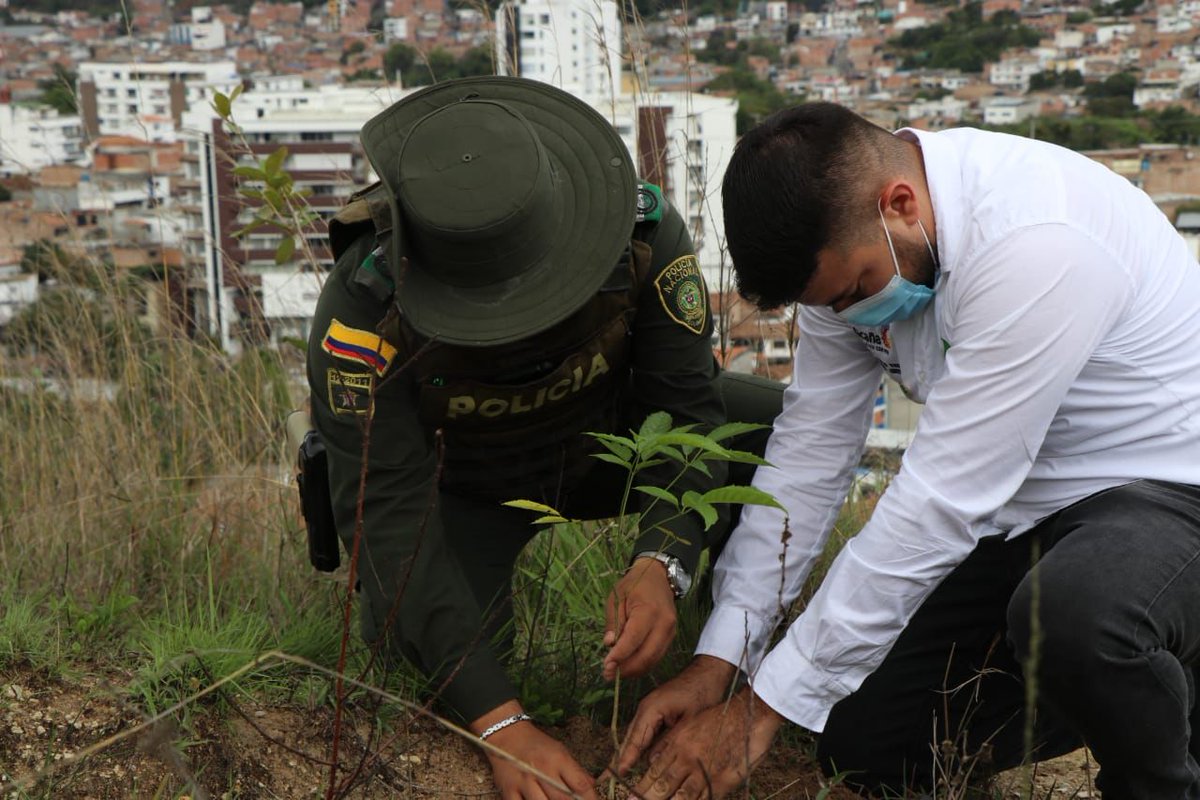 MinAmbiente Colombia tweet media
