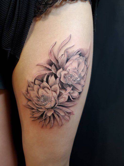 รายการทว 彫季代 Horikiyo ให แท กแฮช タトゥー 1 ว เคราะห ทว ตเตอร กราฟ ก Whotwi