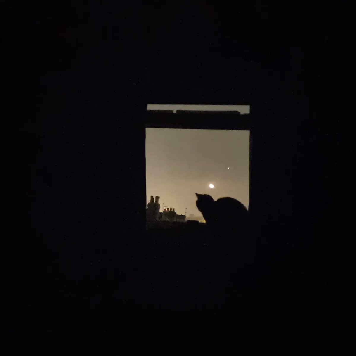 ie_create's tweet photo. ji Photography #moon #CatsOfTwitter #nightphotography #photoart #photography #PhotographyIsArt https://t.co/KGVghl7KNf