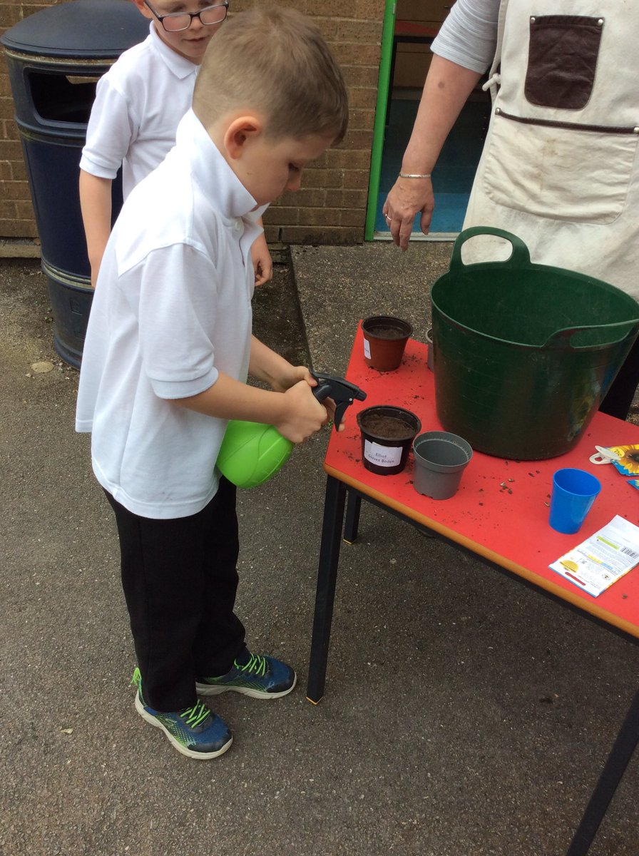 BradwayY2's tweet photo. Planting sunflower seeds in Year 2 as part of or science topic on ‘Plants’ #bradway #year2 @BradwayScience https://t.co/yQTGwQyoEw