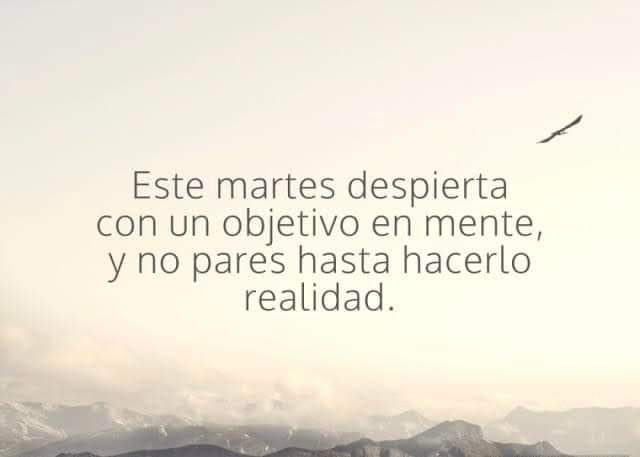 Excelente martes saludos y mucho éxito en lo que hagas!!!!🙏👊😎