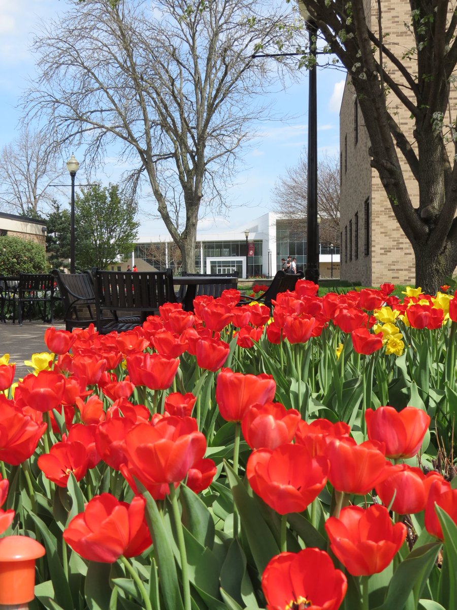 Walsh University tweet media