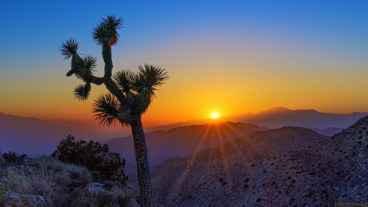 insiteimage's tweet photo. Sunset from Keys View at Joshua Tree National Park - great to travel again earlier this month!

#joshuatree #joshuatreenps #joshuatreeNationalPark #KeysView #FindYourPark #VisitCalifornia #sunset #travelphotography #NikonNoFilter @spann #ThePhotoHour #StormHour https://t.co/Hy1HOwBPrM