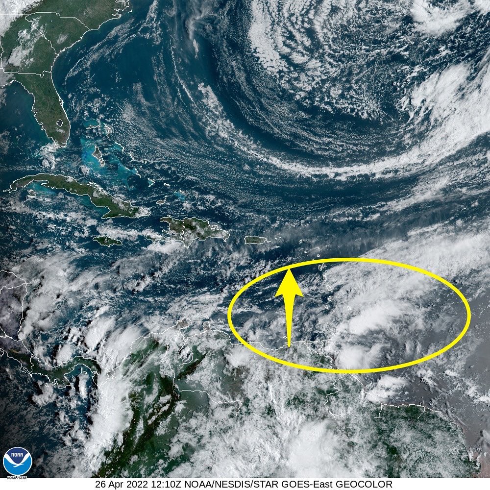 Ada Monzón tweet media