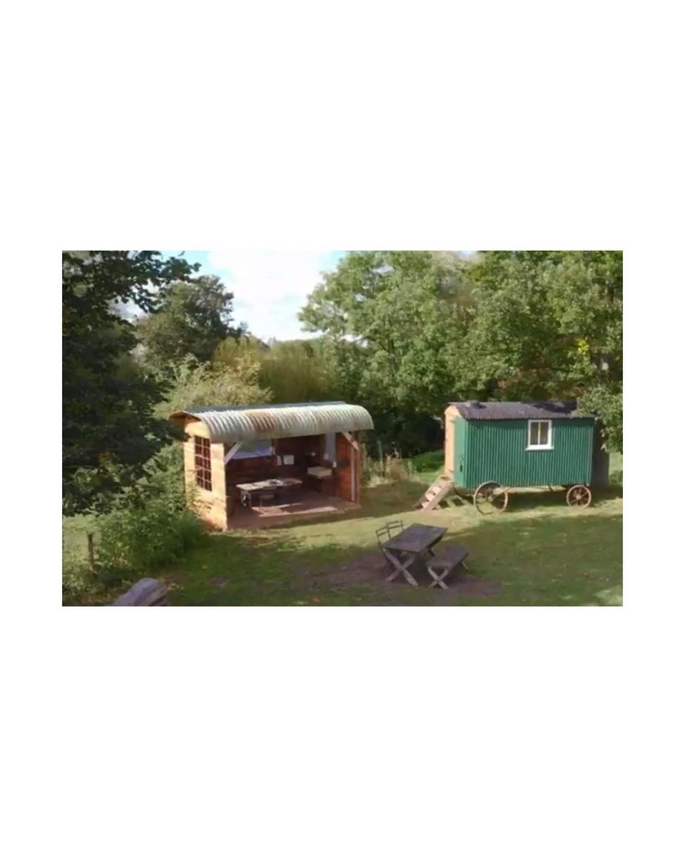 Rascal & Roses tweet media