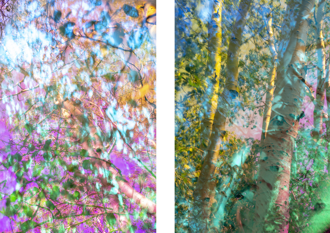 karine_laval's tweet photo. Karine Laval new exhibition | Trembling Giant at SOCO Gallery - https://t.co/KzD24xY5Dr https://t.co/S7PA9kecI8