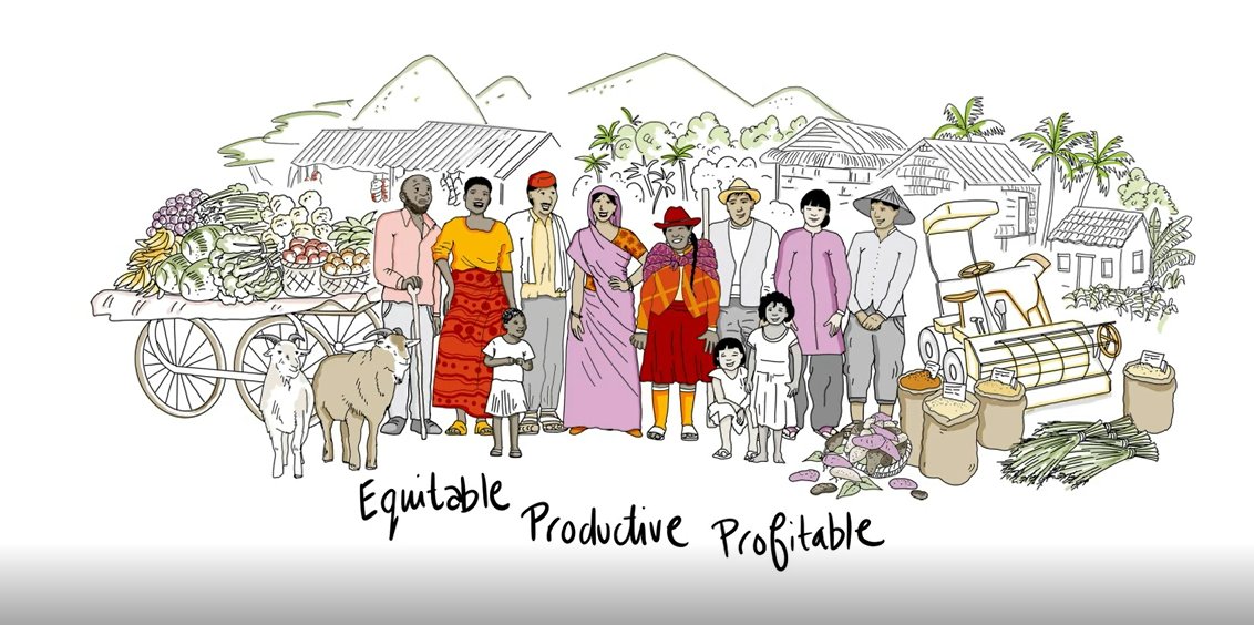 How and to what extent can agricultural development projects contribute to women’s empowerment? The Reach-Benefit-Empower-Transform (RBET) Framework developed by <a href="/IFPRI/">IFPRI</a> and @FISH_CGIAR guides implementers in the sector: bit.ly/3vdFUIw #GenderinAg #OneCGIAR <a href="/CGIAR/">CGIAR</a>