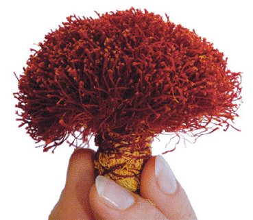 New post (National and international registration of Iranian saffron) has been published on Iranian Saffron supplier and exporter - rowhanisaffron.com/national-inter… #SaffronCost #SaffronManufacturer #SaffronProducers #SaffronStigma
