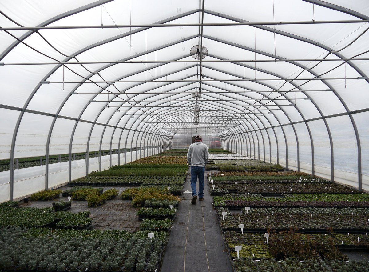 Corenthin_Cha's tweet photo. The ground-to-ground #Ovaltech greenhouse is engineered and designed for versatility and durability. 

> It is an ideal structure for flowers, fruit and vegetables cultivation... 🌺 🌻 🍅 🥬 #greenhouse 

𝘔𝘢𝘥𝘦 𝘪𝘯 𝘕𝘰𝘳𝘵𝘩-𝘈𝘮𝘦𝘳𝘪𝘤𝘢 by #Harnois https://t.co/mOboVDnCHM