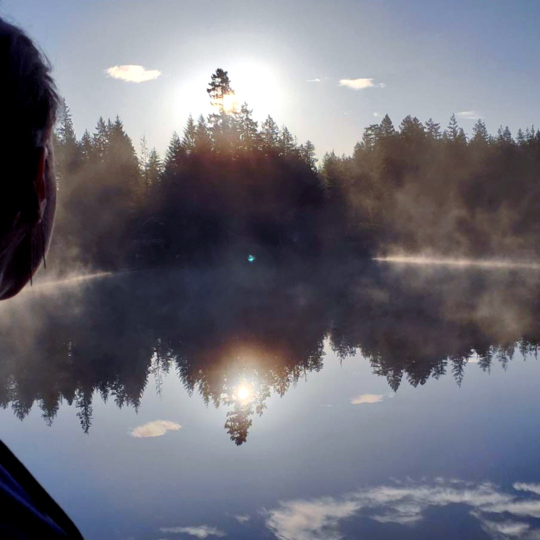 Lin Lustig tweet media