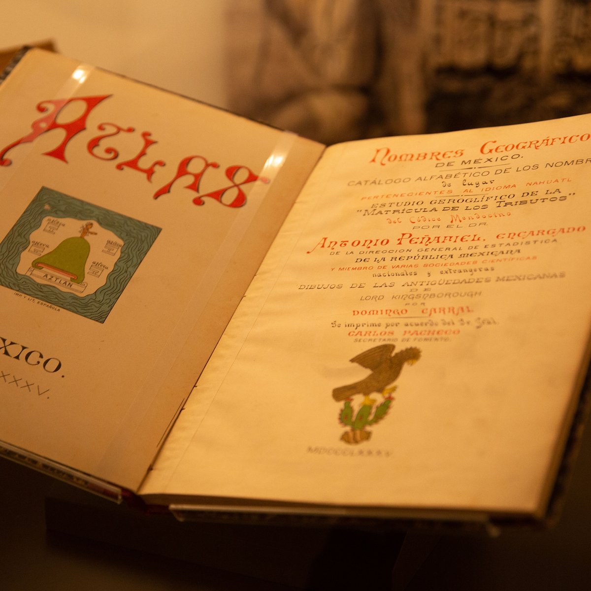 riggs_ward's tweet photo. It has been said that a book lets you travel without moving your feet. At the @univmiami, we captured that adventure in cases via a stunning display of Jay Kislak's impressive antique books.
#kislakcollection #exhibitdesign #exhibitdesigners #exhibitiondesigners https://t.co/nvPse1CwW2