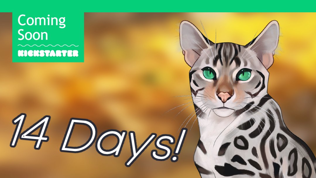 Announcing “Cattails Wildwood Story”! 🐈 Cattails a Cat!