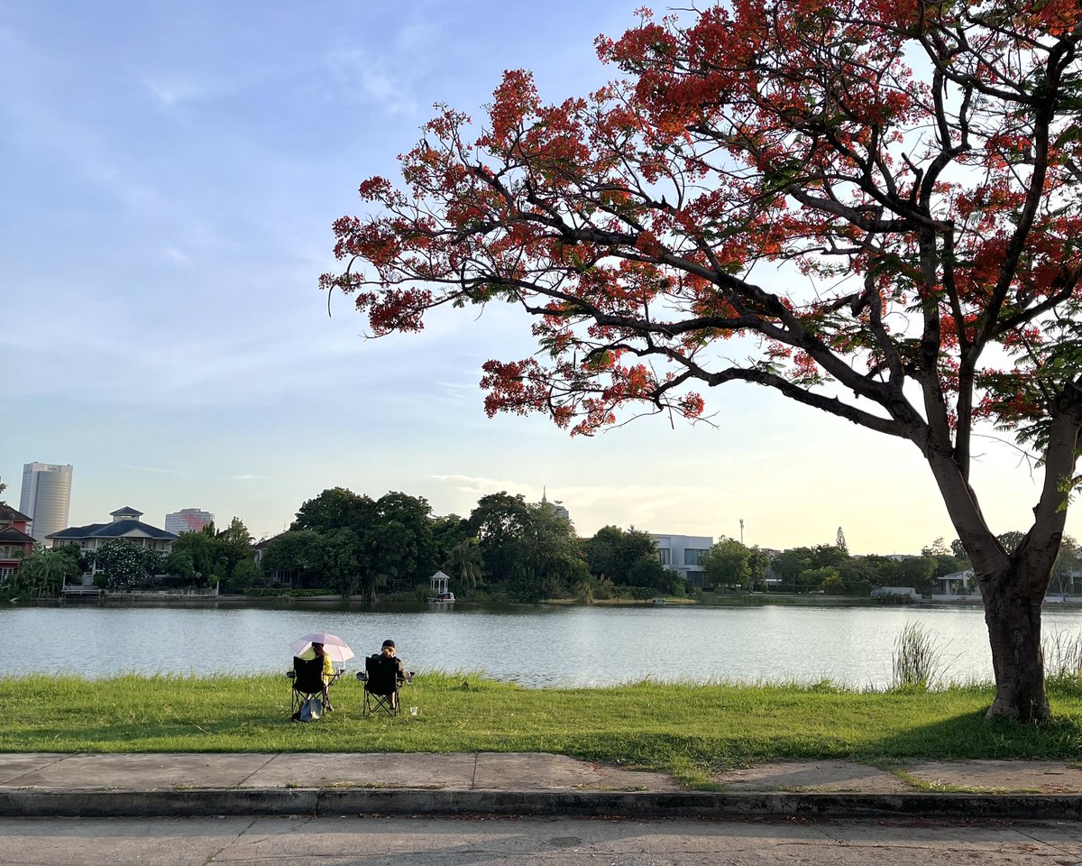 nsnromeo's tweet photo. คาเฟ่ย่านนนทบุรี เหมาะกับคนหาที่นั่งชิลยามเย็น✨ DNA do not awkward ร้านกาแฟ มีขายเบียร์ด้วย อยู่ริมทะเลสาบในเมืองทองธานี ไปช่วงพระอาทิตย์ตกบรรยากาศโคตรดี 🌞 เครื่องดื่มสดชื่นๆ แนะนำ dna sig อร่อย สตรอเบอร์รี่เลมอน ด้านในแต่งโทนม่วง-ขาว ด้านนอกสไต���์ camping @aroii #รีวิวคาเฟ่ https://t.co/zGDNjM27An