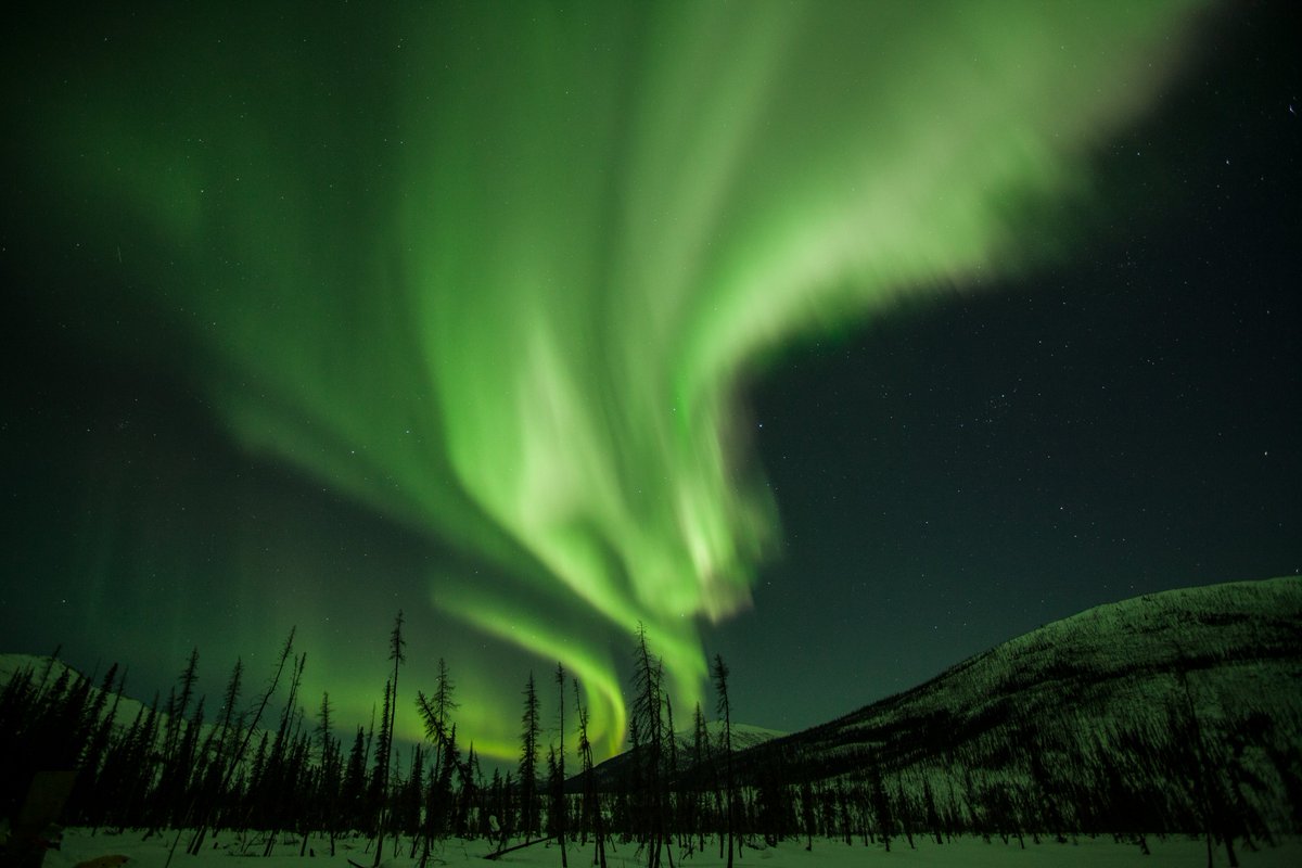 natgeotvturkiye's tweet photo. Mark Thiessen'in objektifinden / Kutup ışıkları Alaska'da gökyüzünü süslüyor. https://t.co/6kRhBsOte4