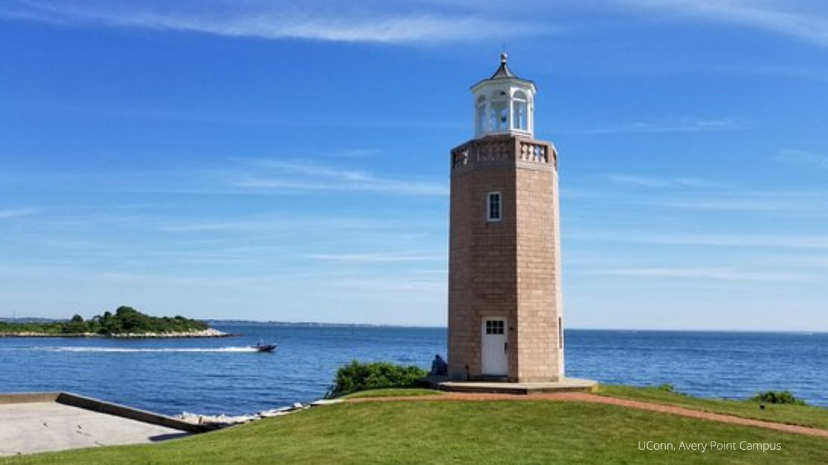 UConnCIRCA's tweet photo. CIRCA #hiring #PhysicalOceanography, #CoastalEngineering Postdoctoral Research Associate to support Resilient CT planning.  Do you know anyone? More: https://t.co/9fzMAMdM0i https://t.co/Egzelchx55