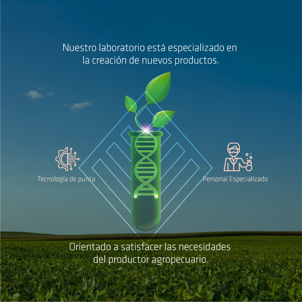 maxizavala's tweet photo. #Fertimax Nuestro laboratoria se especializa en la creación de nuevos productos orientados a satisfacer las necesidades del productor paraguayo.
#Paraguay https://t.co/HOSPqK0Ygn