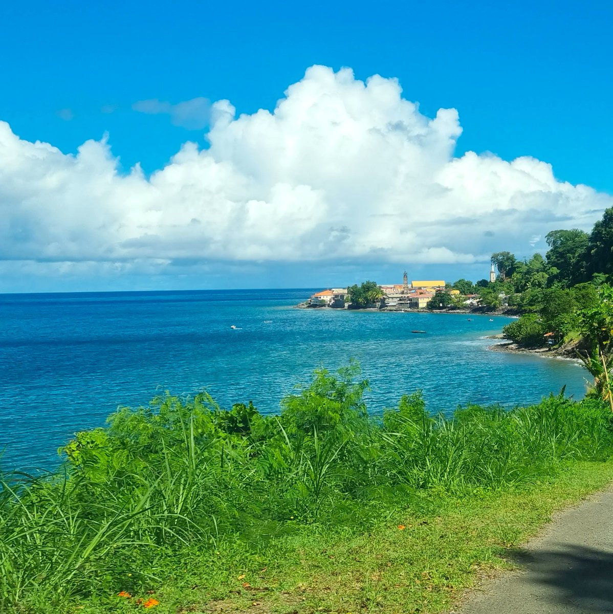 grenadaexplorer's tweet image. A scenic drive along the west coast 🏞️ Taking a guided island tour during your stay is a wonderful way to fully experience our beautiful #island called #Grenada 🏝️ #IsleofSpice #PureGrenada