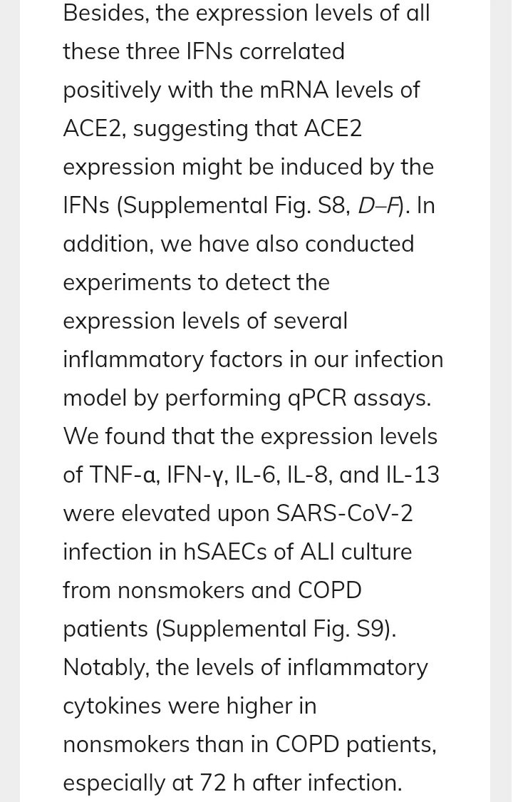 ForgeRat's tweet photo. @COVIDimmunityTF @_atanas_ @community_sos @VignuzziLab @machealthsci @McMasterIIDR @MacImmunology @UHN_Research @HamHealthSci @ResearchStJoes @MacDeptMed @mcmasterchse
#ACE2⬆️ #clubcells #interferon https://t.co/EReZToj8wp