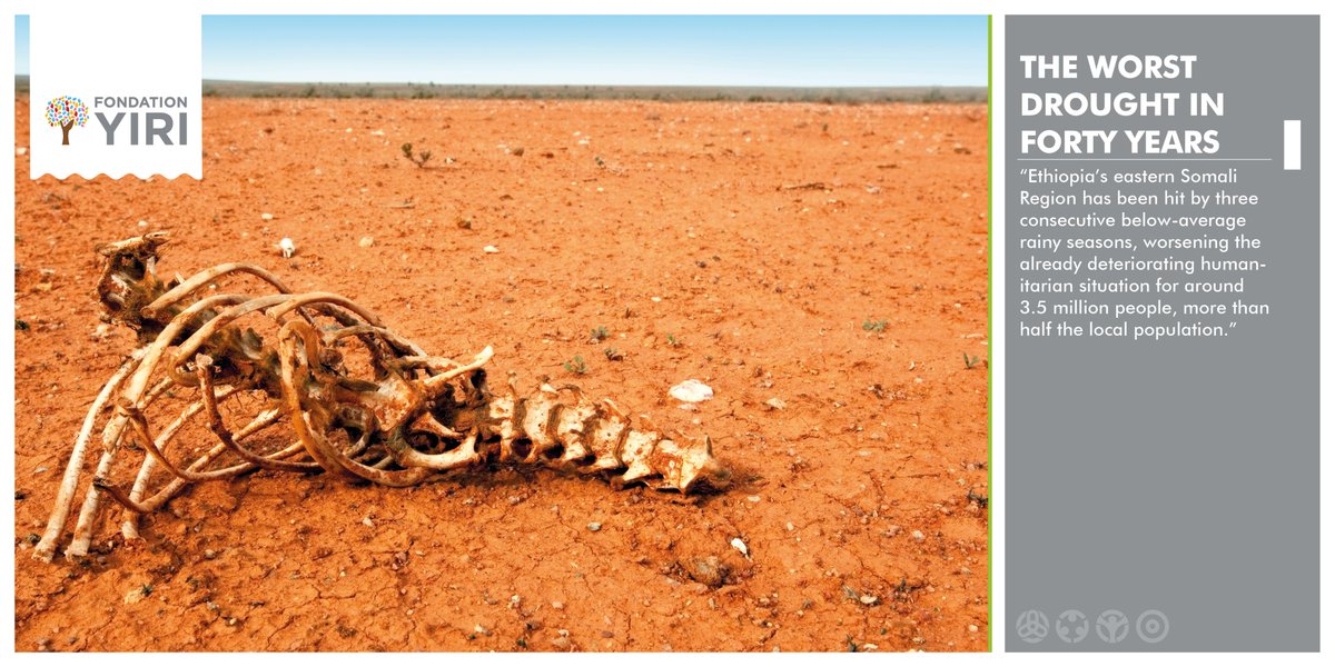 FondationY's tweet photo. "‘This is the worst drought in forty years’: Millions of Ethiopians at risk from failed rains"
@ https://t.co/8lYZYGjInu https://t.co/Eym6JEEUgv