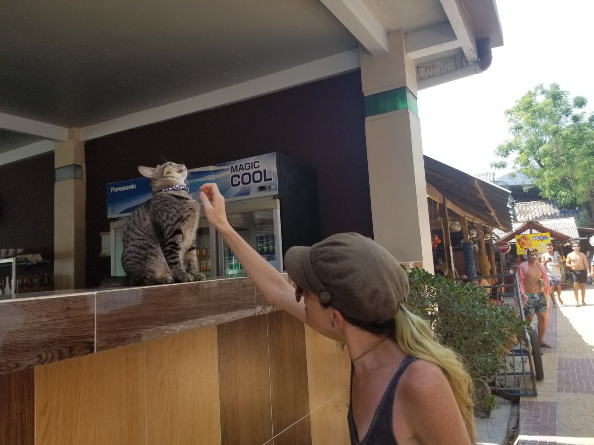 riotsurvivor's tweet photo. #straysofthailand #animalsarenifty #iloveyou #imissyou https://t.co/aUhziLdyxz