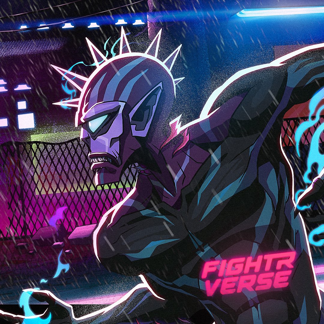 FightrVerse tweet media