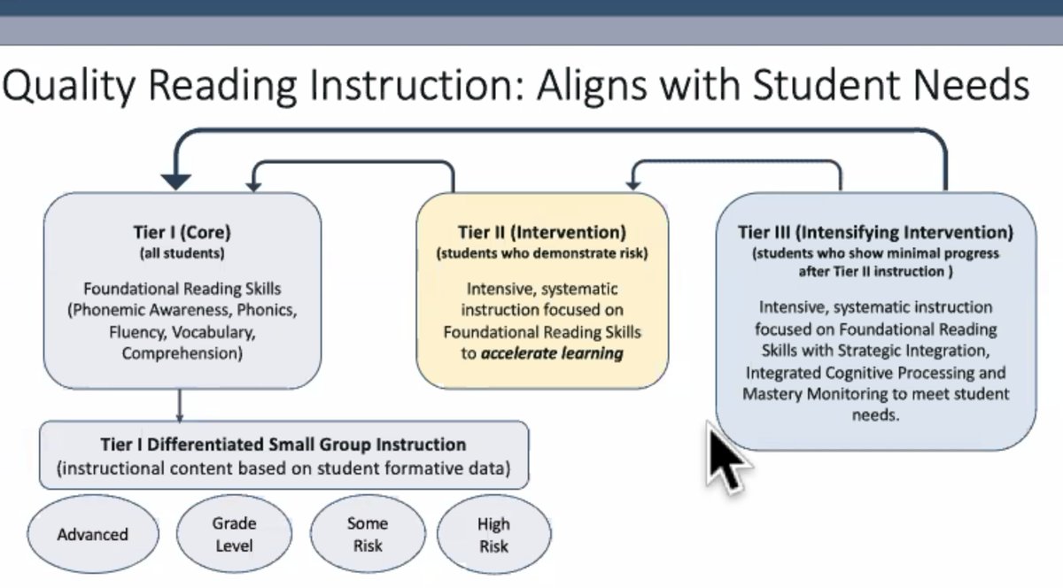 Another fabulous MTSS explanation from <a href="/leadforliteracy/">Lead for Literacy Center</a> #scienceofreading #MTSS #literacy
