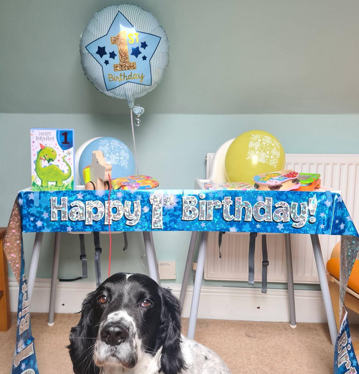 Happy Birthday to the twins! 27 days and waiting.  Should be here by now!
<a href="/UKHomeOffice/">Home Office</a> <a href="/JasonMcCartney/">Jason McCartney</a> <a href="/JohnTravis/">John Travis</a> <a href="/Family_Brian/">The Brian Family</a> <a href="/TownsendMark/">Mark Townsend</a>
#HomesforUkraine #WhereAreTheVisas #SpanielWantsToMeetYou