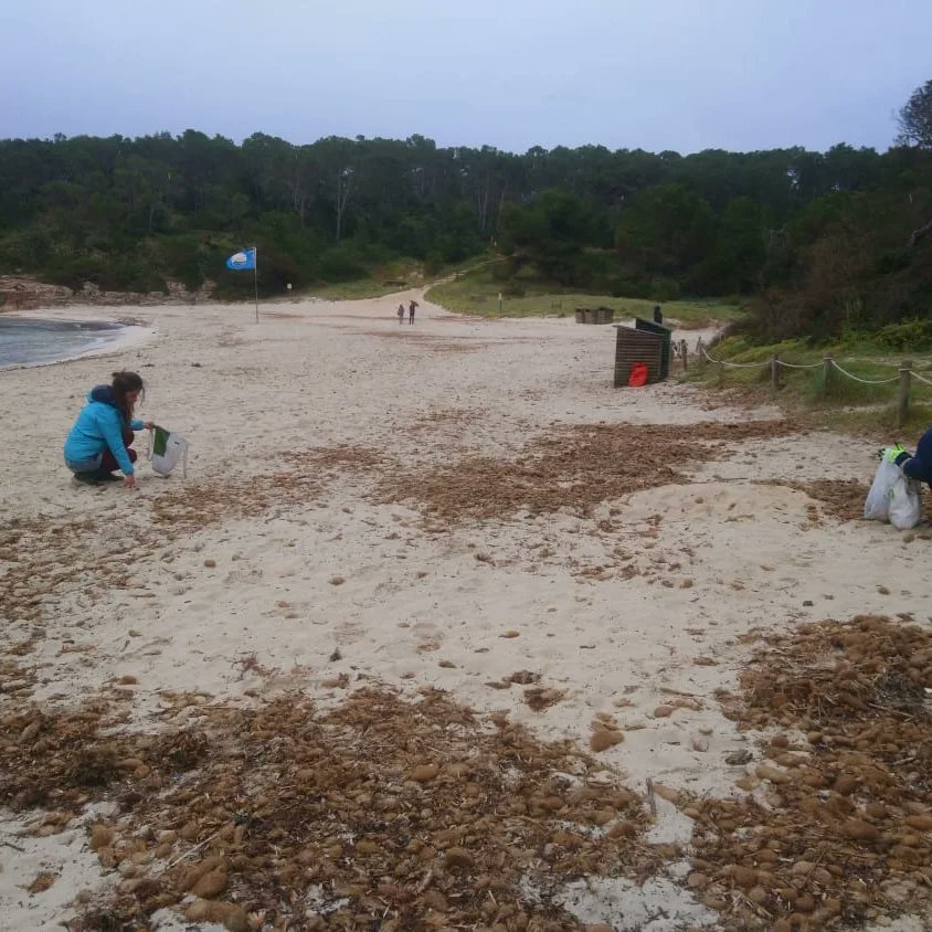 Una barbaridad🥴de #basuraleza este sábado en nuestra playa amadrinada de s'Amarador #AmadrinaMondragó. Equipazo y encantadas de trabajar con Lucía de  <a href="/seoillesbalears/">SEO/BirdLife Illes Balears</a> con el proyecto #LIBERA
Seguid atentos a más actividades #AmadrinaMondragó‼️✌🏼🌞🔎🐟🌊🌊🌳
