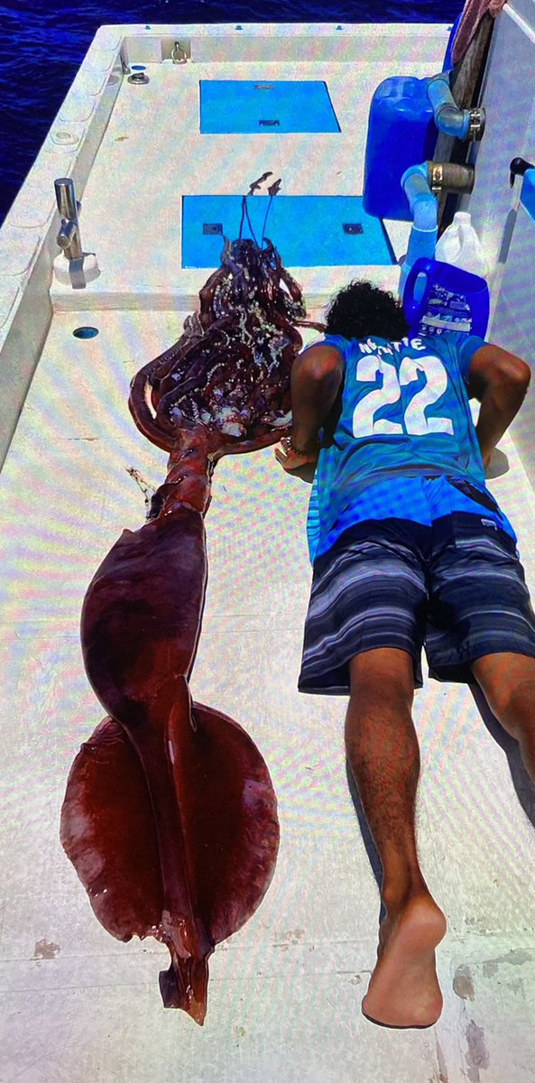 najeebshahym's tweet photo. Unexpected catch by a #maldivean source #ekuverimasverin #deepdrop #fishingdaily #maldives https://t.co/FEBaEOeLNR