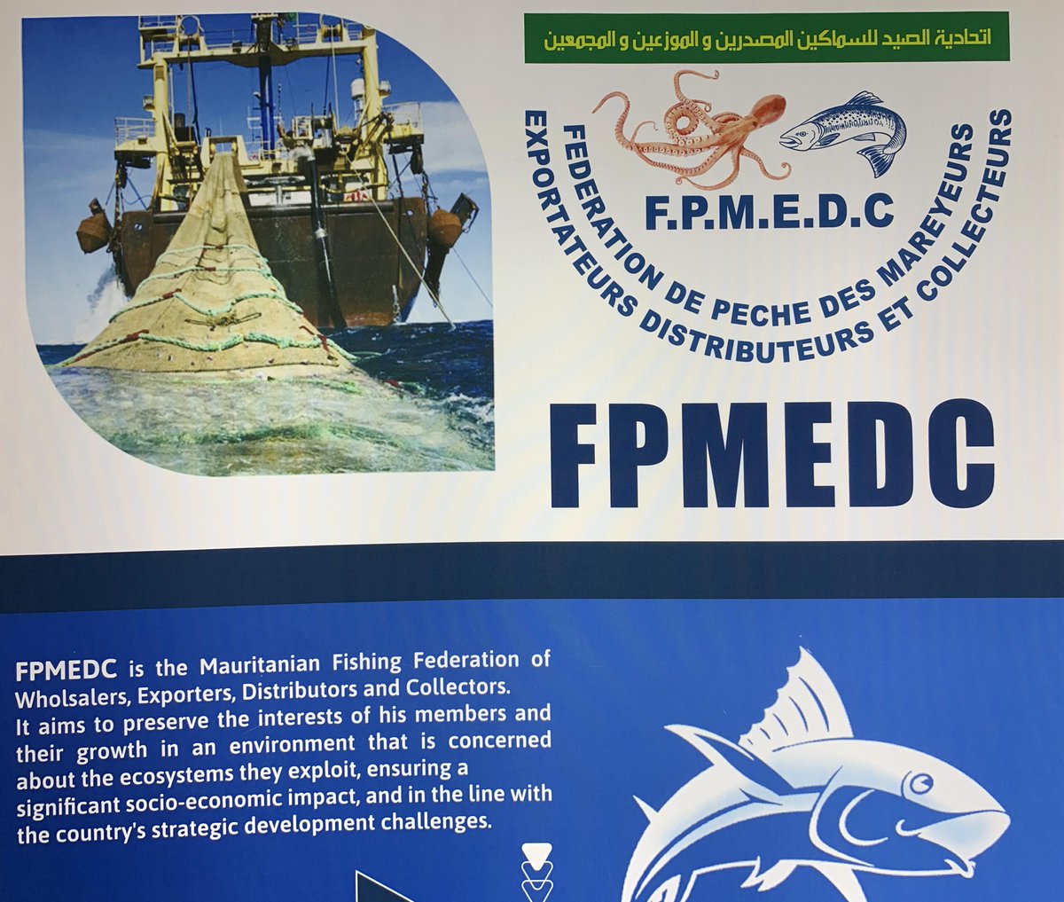 Shark_Guardian's tweet photo. @SeafoodExpo_GL Also the government of Mauritania (booth 4B301) is shamelessly promoting bottom trawling (whilst claiming the Mauritanian fisherfolk are "concerned about the ecosystems they exploit"), as well as the catching of #hammerhead #sharks. Unbelievable!
#BanSharkFin
#STOPBOTTOMTRAWLING https://t.co/py57a6lFIC