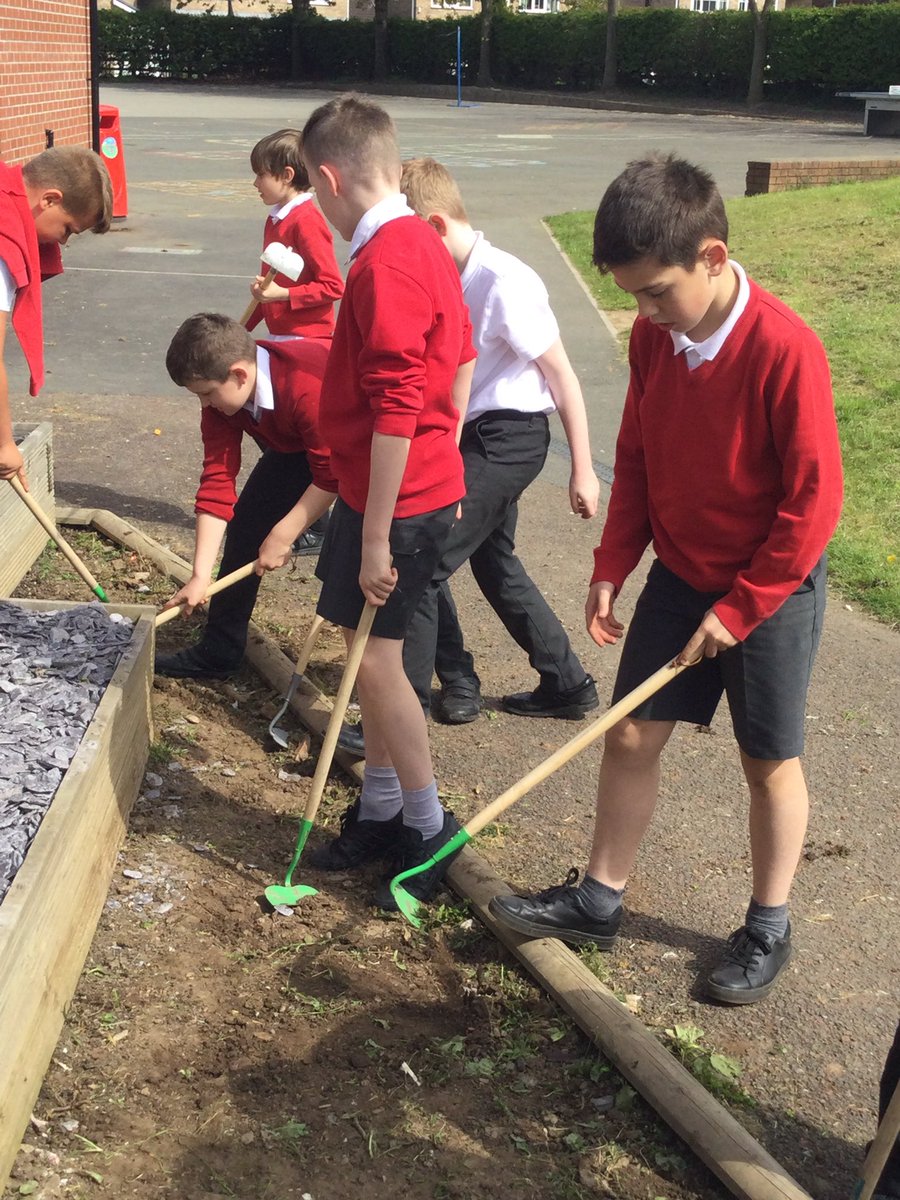 MD_Class5's tweet photo. Y5 are busy preparing our gardening area for an exciting summer of growing! π₯π§
π
ππΆβοΈπ¨ #MDGrowing #BigGrow @giyireland @innocent https://t.co/9Dyncx8f5M