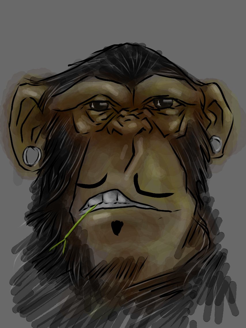 Check our collection 🐵 opensea.io/collection/sapc
