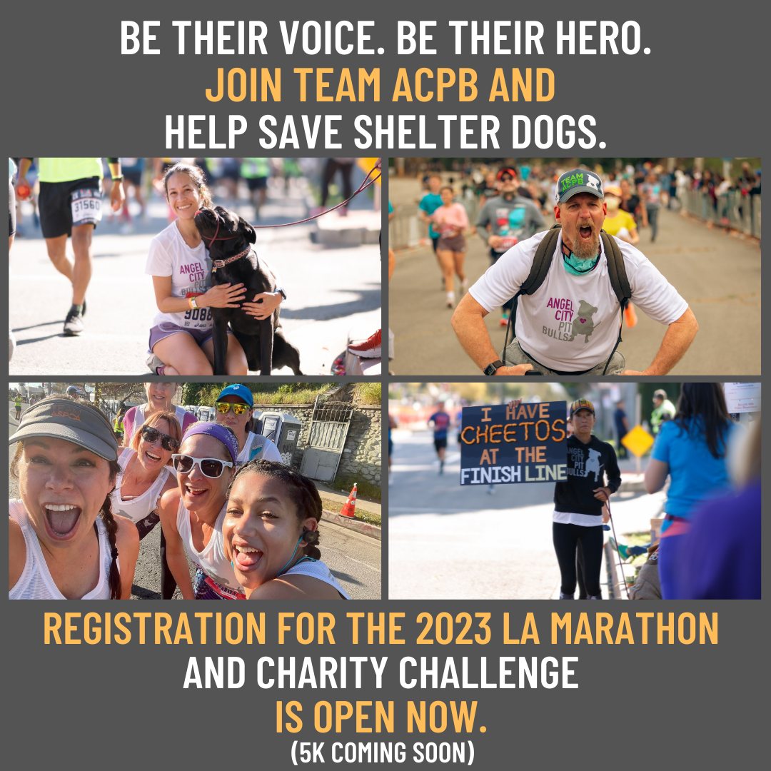 angelcitypits's tweet photo. #Run4Pits
Registration for the 2023 LA Marathon and Charity Challenge is OPEN.  
Learn more:
https://t.co/U8iTeT7Rwr
https://t.co/CUnqR5QJec https://t.co/UykVlWP6zT