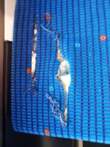 České dráhy tweet media