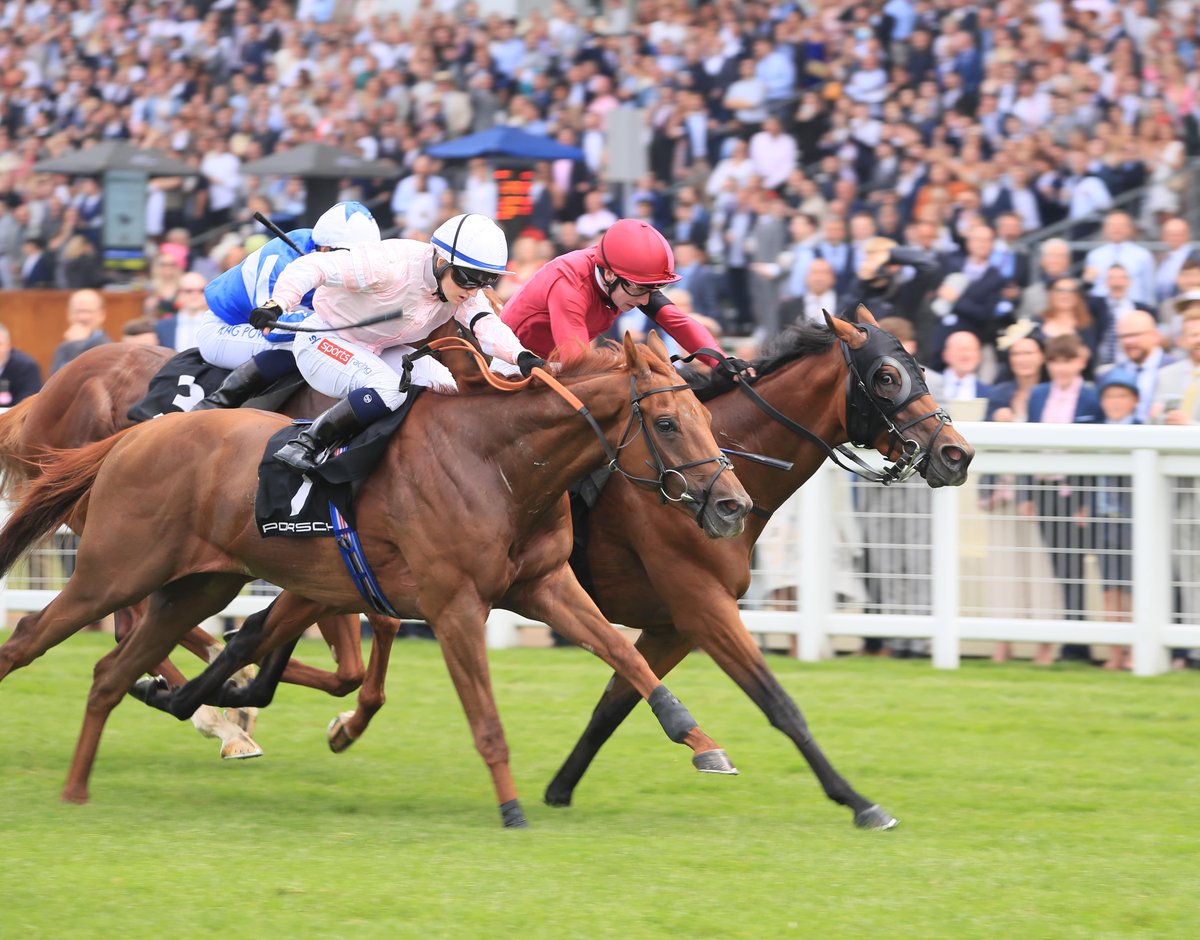 🚨 COMPETITION TIME 🚨

We're giving away 2x King Edward VII Enclosure tickets for the <a href="/ToteRacing/">Tote</a> Victoria Cup Day at Ascot on Saturday! 

For your chance to win:
🔁 RT this tweet
⭕️ Follow <a href="/RacingPost/">Racing Post</a> + <a href="/ToteRacing/">Tote</a> 

Comp closes at 3pm tomorrow

T&amp;Cs apply. | 18+ #GambleAware
