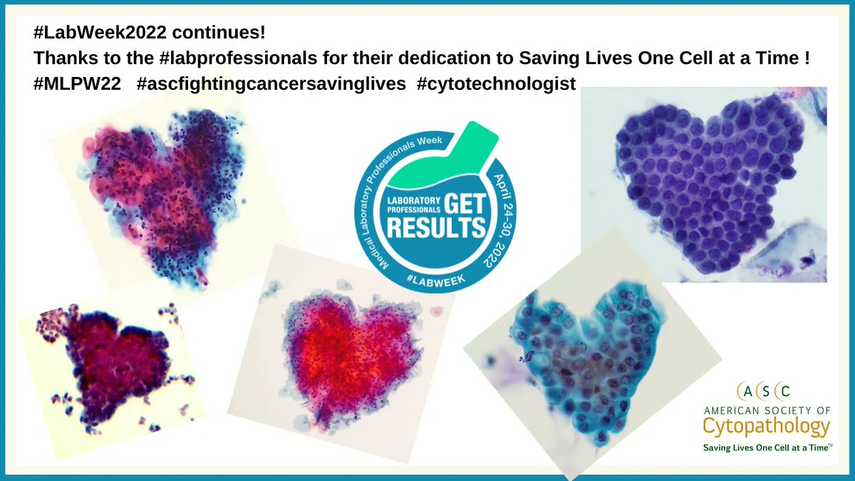cytopathology's tweet image. The ASC acknowledges and celebrates diversity among laboratory professionals who give the gift of health by driving innovation, fostering health equity, and improving public health and patient care. #LabWeek2022  #cytotechnologist #ascfightingcancersavinglives #labprofessional