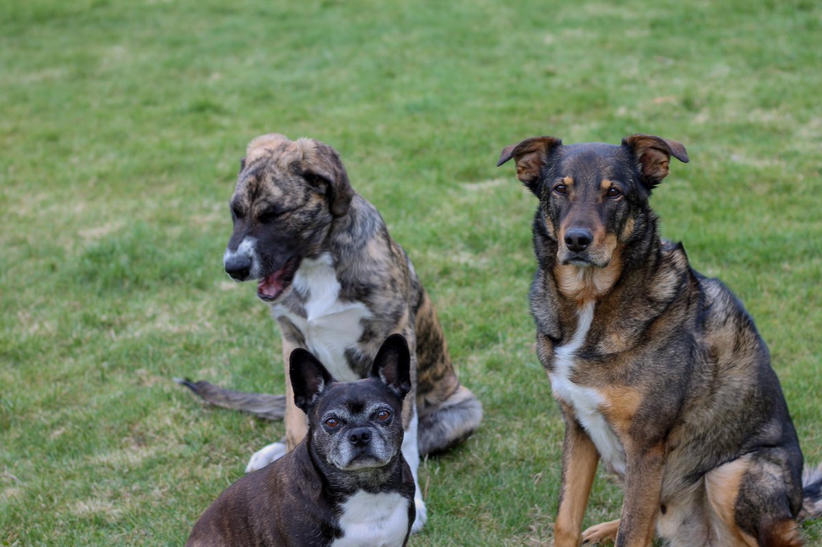 roamwiththem tweet media