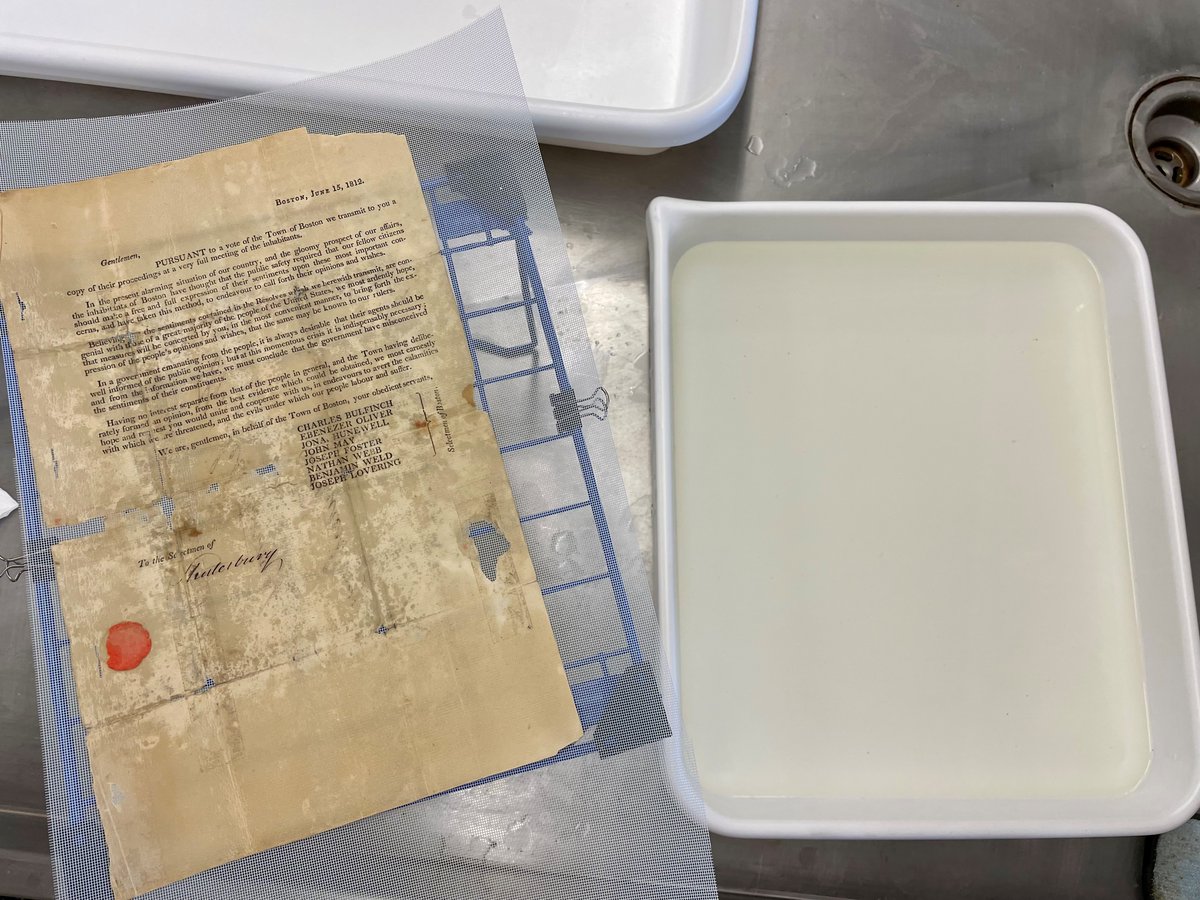 Today and tomorrow we’re following this 1812 circular issued by Boston's Selectmen on its #preservation lab journey. Here it’s drying after a distilled water bath - grime from the paper has tinted the water yellow! Once dried its next stop is paper repair. #PreservationWeek