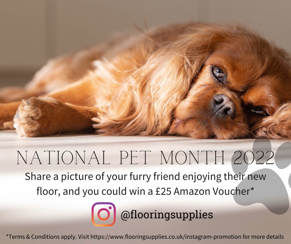 Have you entered our competition yet? #NationalPetMonth

We're giving away a £25 Amazon Voucher to the cutest pet on one of our floors 😍

Full t&amp;c's here: ow.ly/CNCO50ISpS1