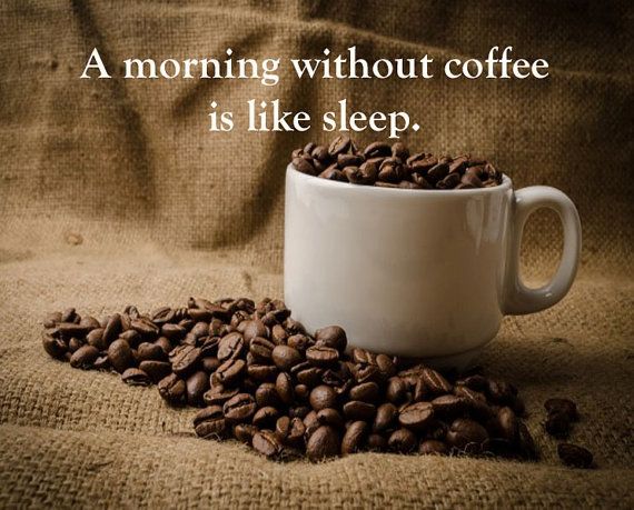 KevinFr14260515's tweet photo. A #Morning without #Coffee is like #Sleep!
#siselkaffe #coffeetime #coffeelovers #sisel #newsisel #sizzlenow #fortwayne https://t.co/wOQCwH39W5
