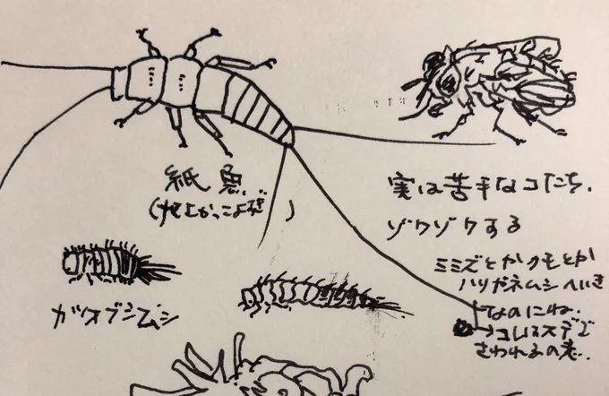 勇気ある人は検索してくれ画像を 